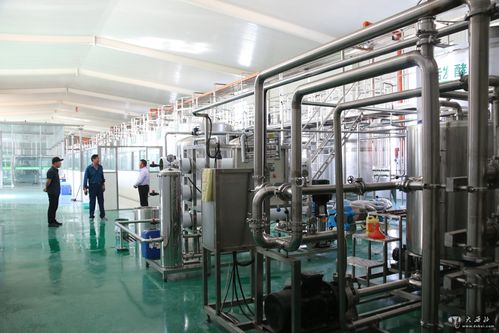 甘肅動力源棗業(yè)果酒棗旺棗福上市