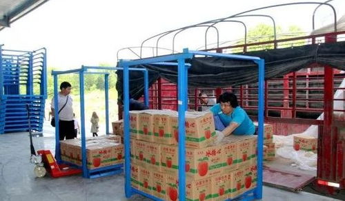 永州嘉信冷鏈倉儲物流中心正式開業，助推區域物流體系升級